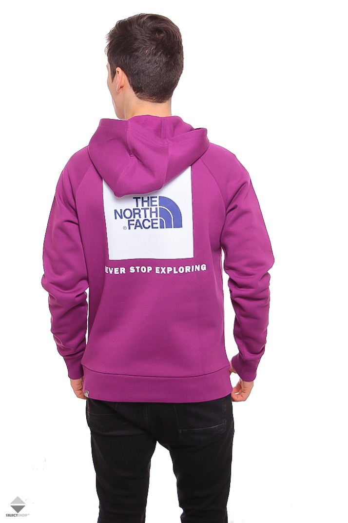 the north face hoodie purple