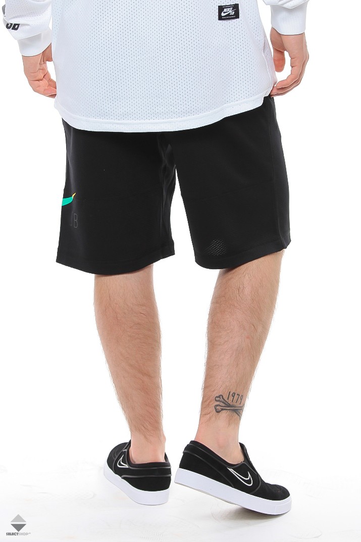 nike sb dri fit shorts