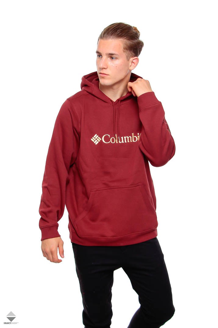 columbia basic logo hoodie