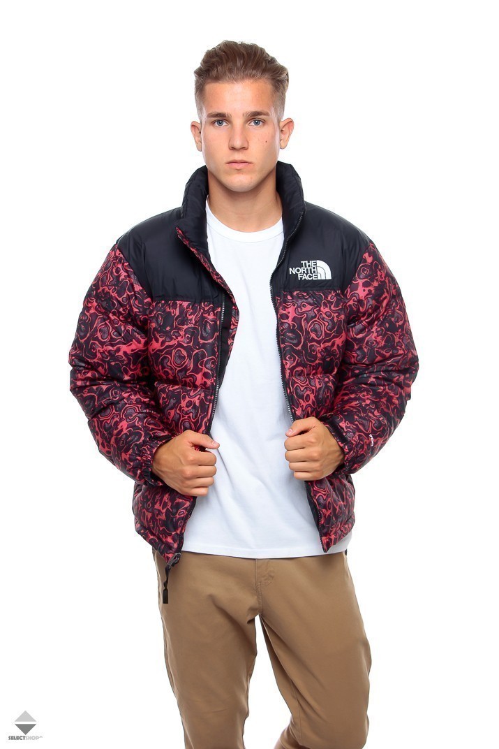 the north face multicolor jacket