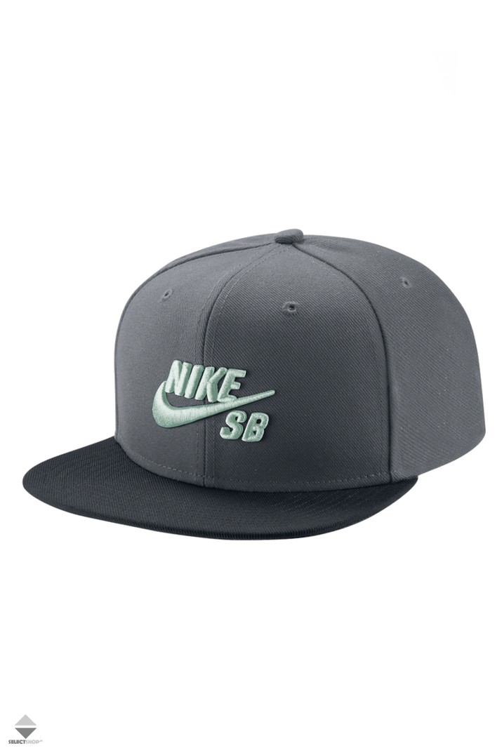 Nike SB Cap PRO Snapback 628683-065 COOL GREY/BLACK/PINE GREEN/BARELY ...