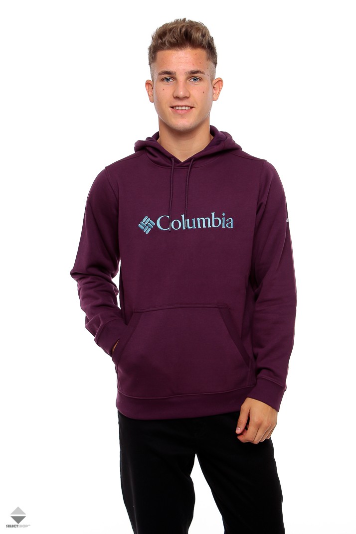 columbia basic logo hoodie