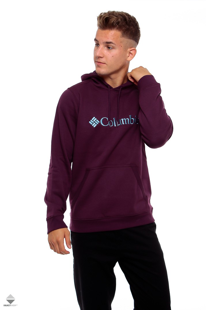 columbia csc basic logo ii hoodie